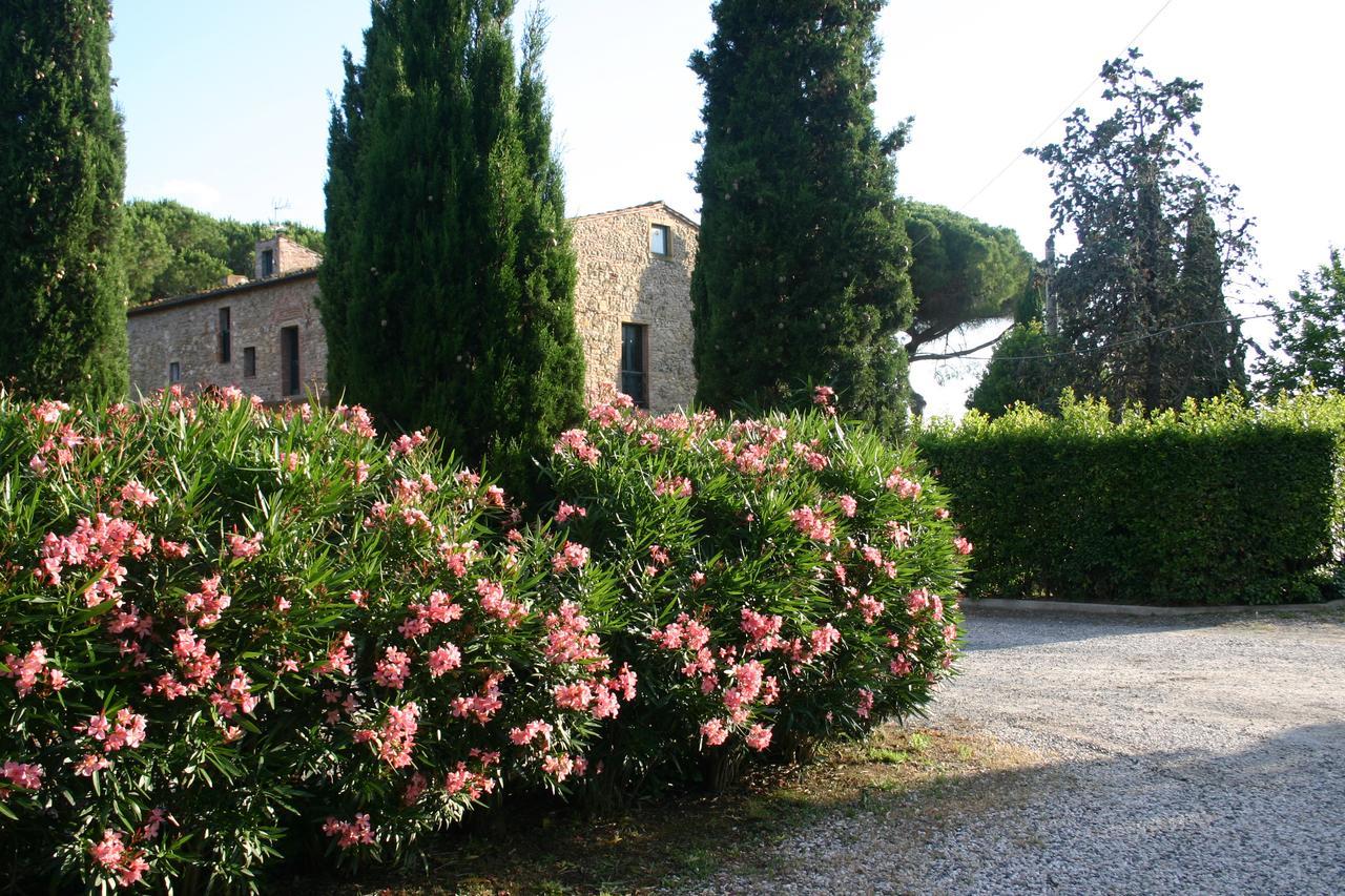 Ferienwohnung Casaleaurelia Bibbona Exterior foto
